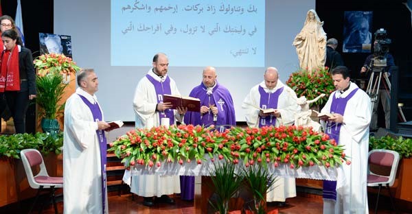 img (15)